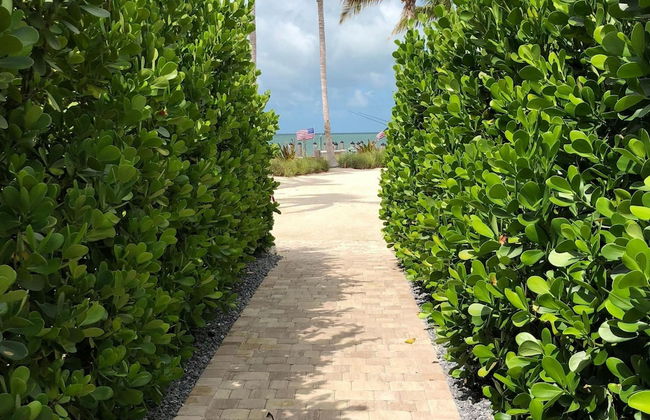 4 Beautiful 4 Bed 3 Bath Pool Home w Free Dock - Photo 5