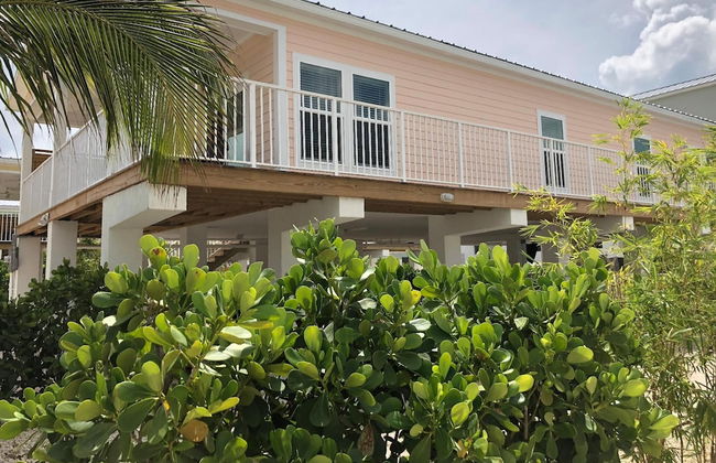 4 Beautiful 4 Bed 3 Bath Pool Home w Free Dock - Photo 3