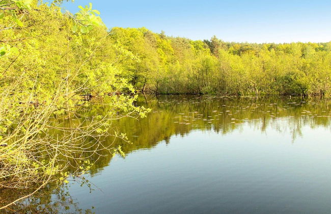 Holiday Home in Kolczewo Near Baltic Sea - Foto 13