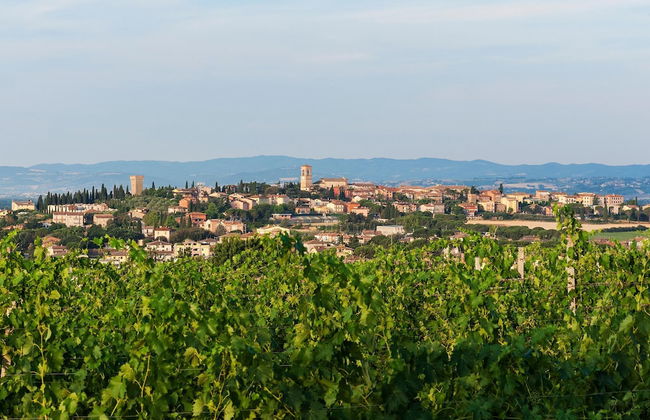 Villa del Colle in Torgiano - Photo 43