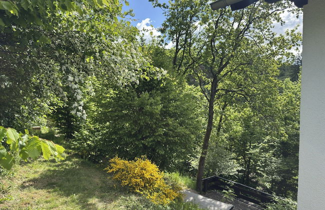 Ferienhaus Sackpfeifenblick, Hatzfeld - Foto 33