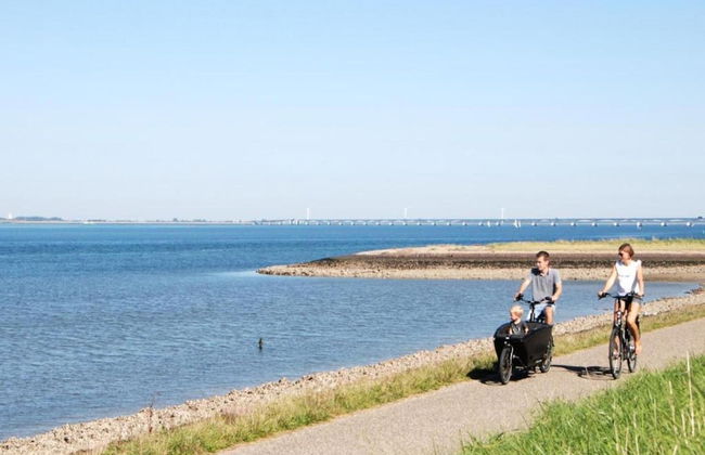 Holiday Home in Zeeland With Sauna - Foto 33