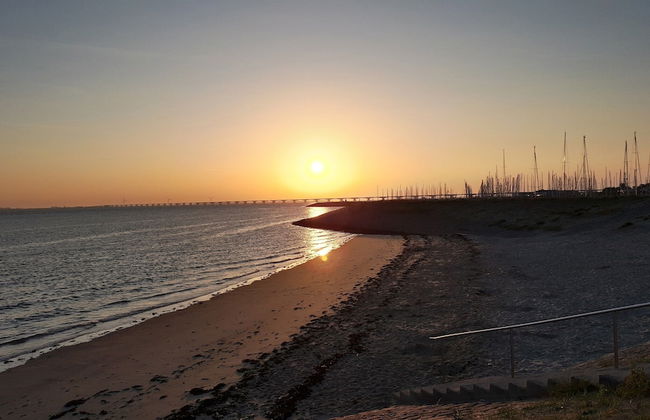 Holiday Home in Zeeland With Sauna - Foto 38