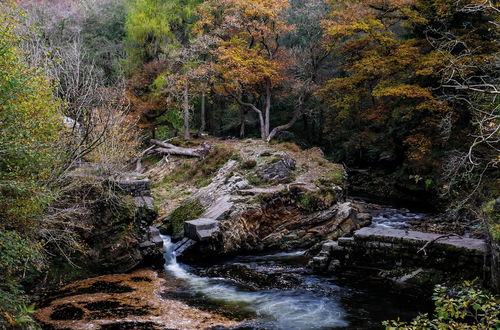 Photo 18 - Waterfall Lodge