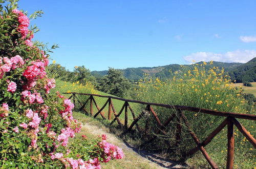 Photo 17 - Apartment in Pennabili on Tuscan Border near Nature Park