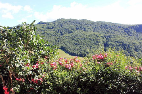 Photo 16 - Apartment in Pennabili on Tuscan Border near Nature Park