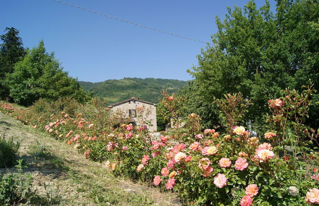 Corte dei Mori - Foto 32