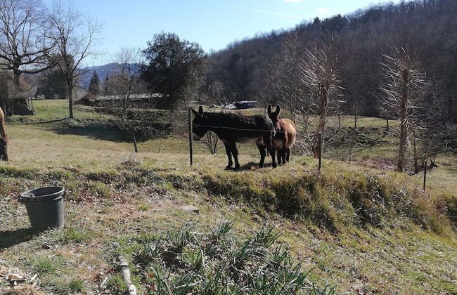 Casa Can Boix - Foto 34