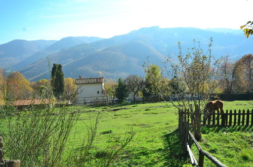 Photo 20 - Bright Holiday Home in San Marcello with Pool near Meadows