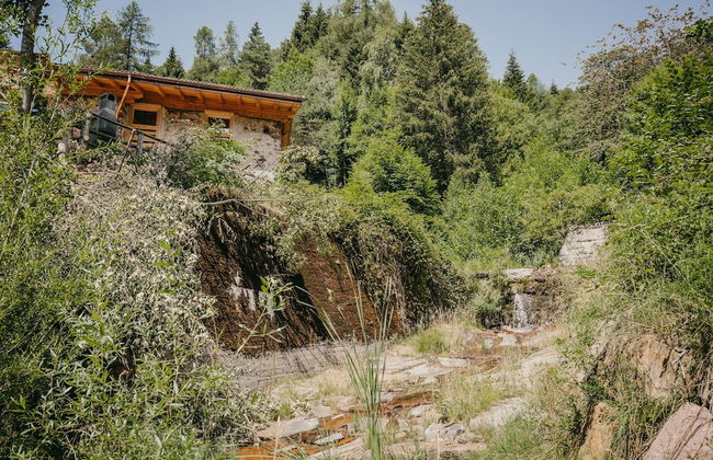 Maso nel bosco - Foto 42