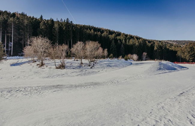 Maso nel bosco - Foto 19