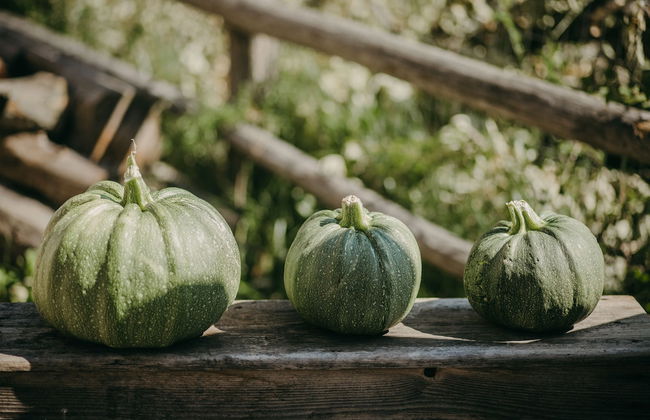 Maso nel bosco - Foto 60