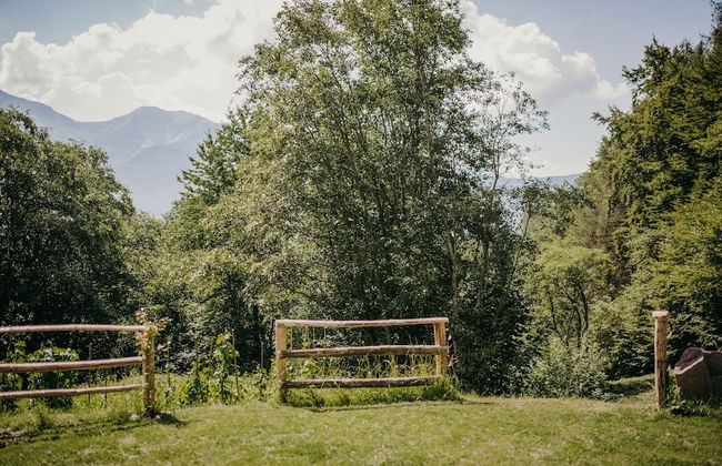 Maso nel bosco - Foto 43