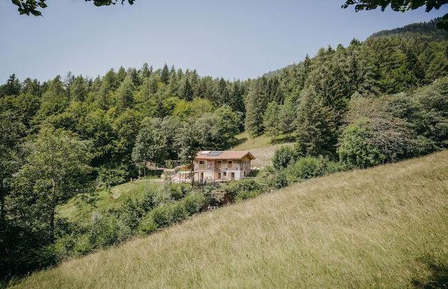 Maso nel bosco - Foto 62