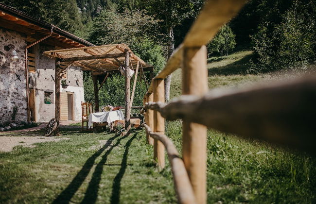 Maso nel bosco - Foto 44