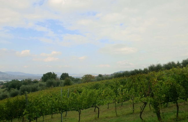 Stay With Local Flavors - Foto 29