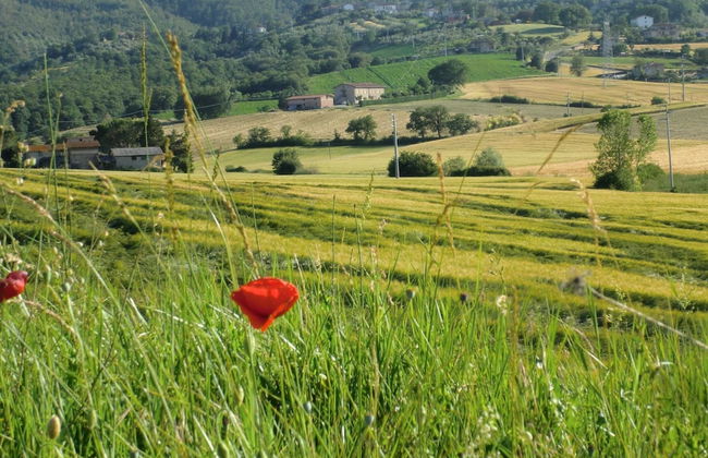 Holiday Home in Pietrafitta Near Lake Trasimeno - Foto 37
