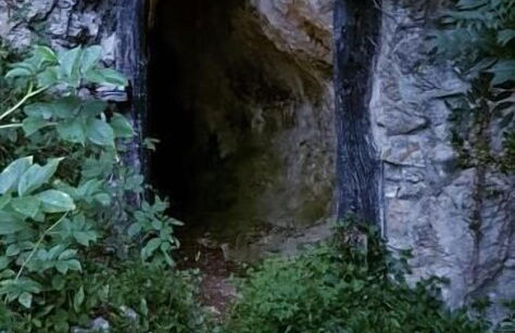 Bosque de Cuevas - Foto 43