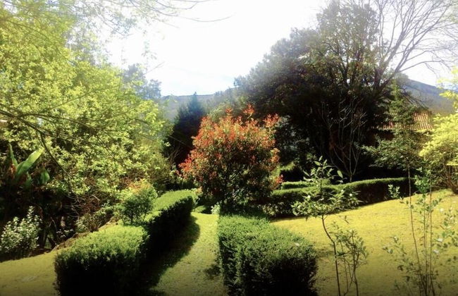 Bosque de Cuevas - Foto 40