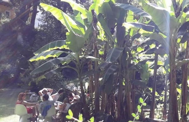 Bosque de Cuevas - Foto 41