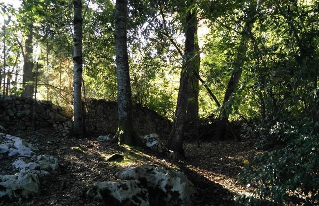Bosque de Cuevas - Foto 50