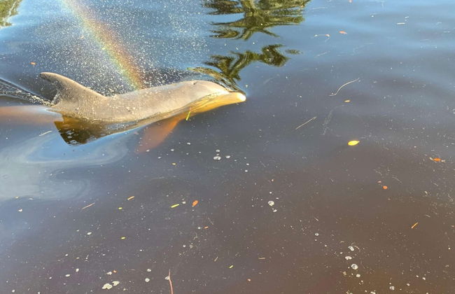 4836/4838 Esplanade St B-pool - Foto 19