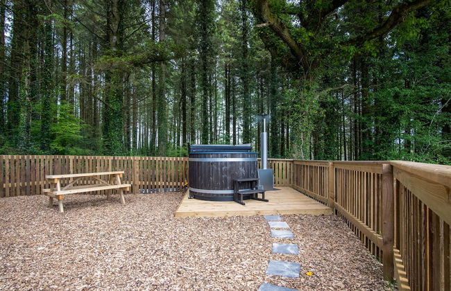 Cabin In The Woods - 1 Bed - Kilgetty - Foto 37