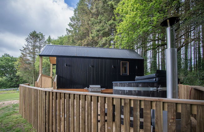 Cabin In The Woods - 1 Bed - Kilgetty - Foto 34