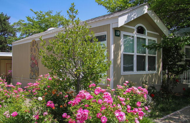 Arden Acres Executive Suites and Cottages - Photo 37