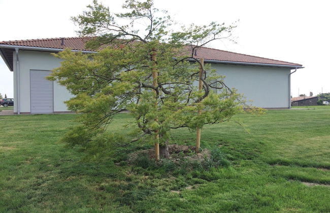 Country House Campofiore - Foto 61