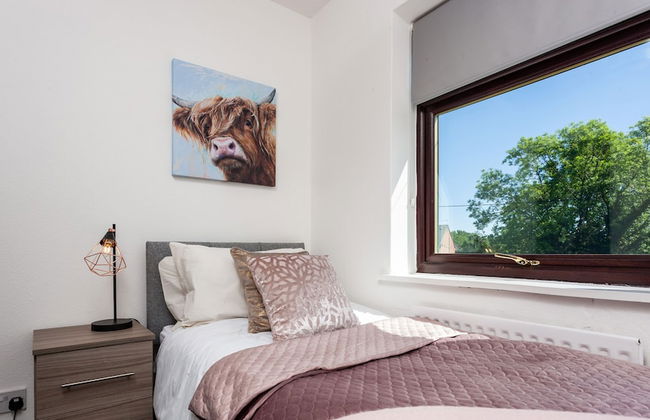 HC Property - Mountford - Foto 3