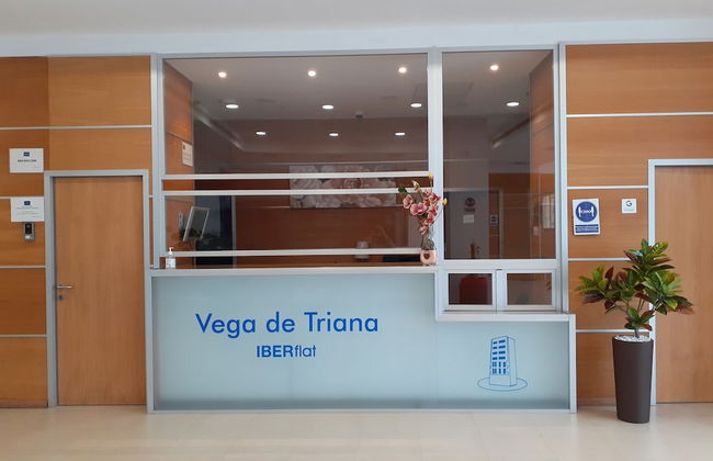 Iberflat Vega De Triana - Photo 6