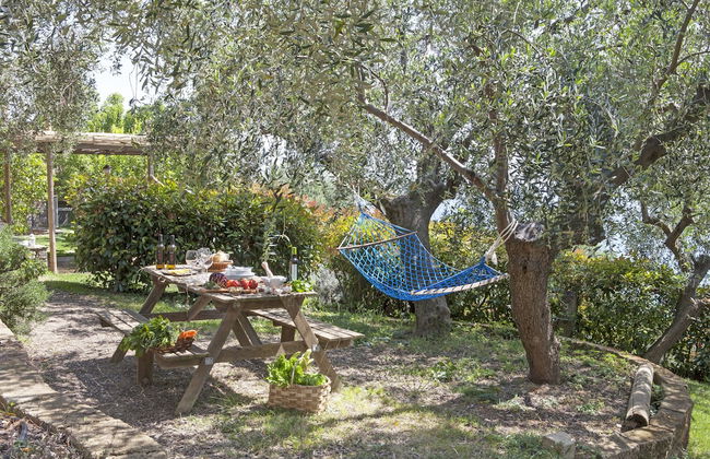 Agriturismo Uliveto Saglietto - Foto 53