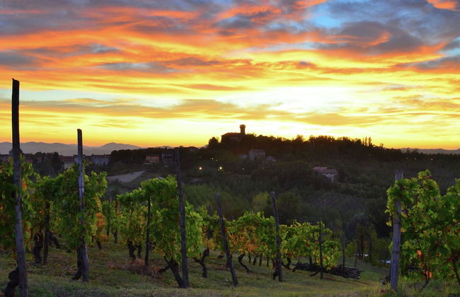 Guest House in Monferrato With Wine Tasting - Foto 20