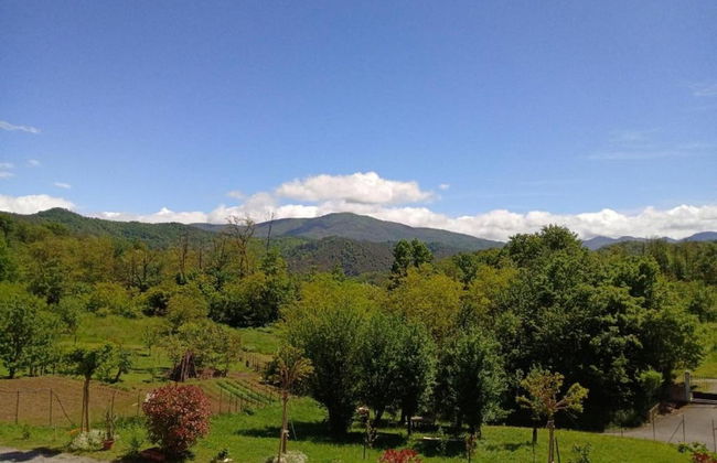 Guest House in Monferrato With Wine Tasting - Foto 30