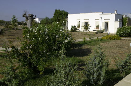 Photo 47 - Masseria Faresalento