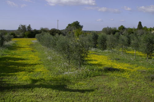 Foto 49 - Masseria Faresalento