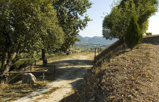 Azienda Agraria Montelujano - Foto 22