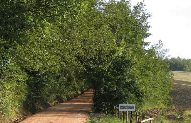 Azienda Agraria Montelujano - Foto 21