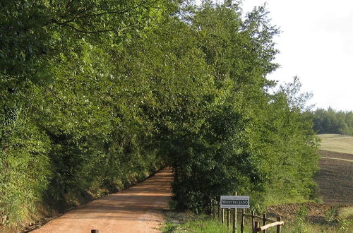 Photo 21 - Azienda Agraria Montelujano