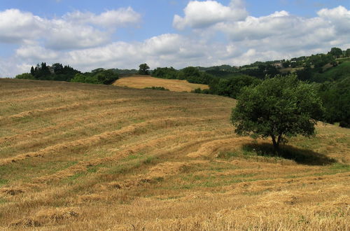 Photo 25 - Azienda Agraria Montelujano