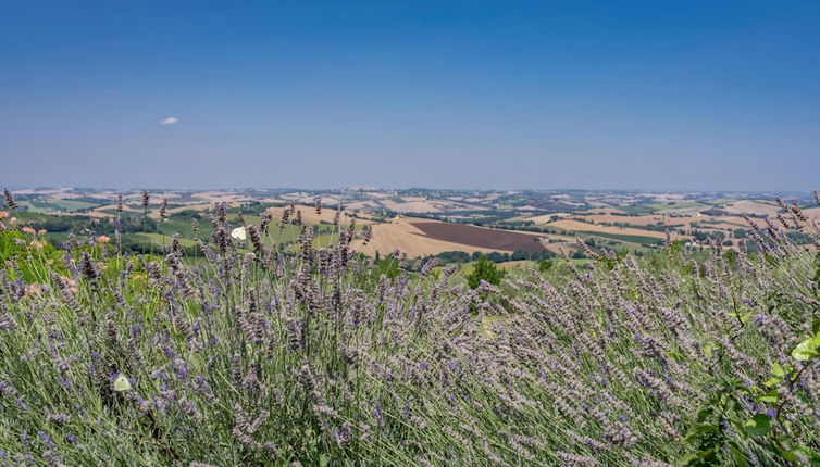 Foto 1 - An-f453-cbgn2at - Casale Verdicchio