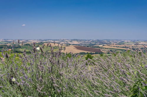 Foto 1 - An-f453-cbgn2at - Casale Verdicchio