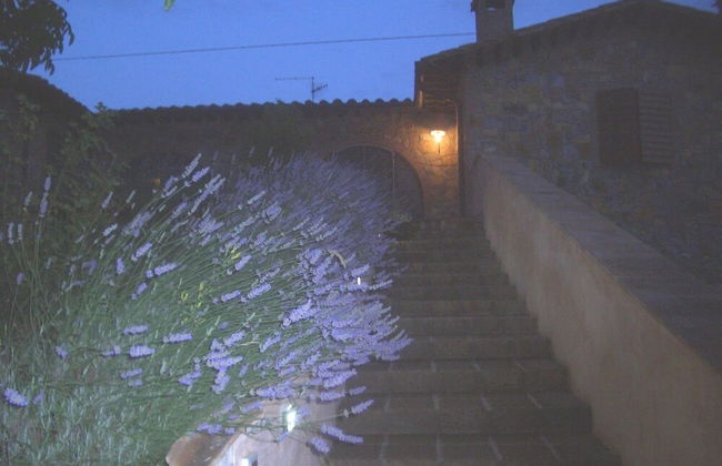 La Collina dei Ciliegi - Foto 24