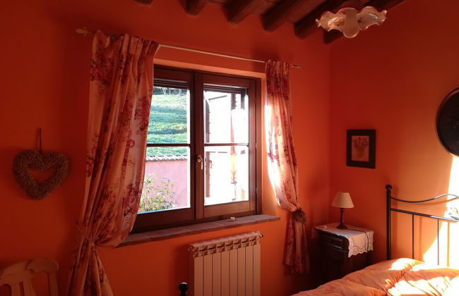 La Collina dei Ciliegi - Foto 3