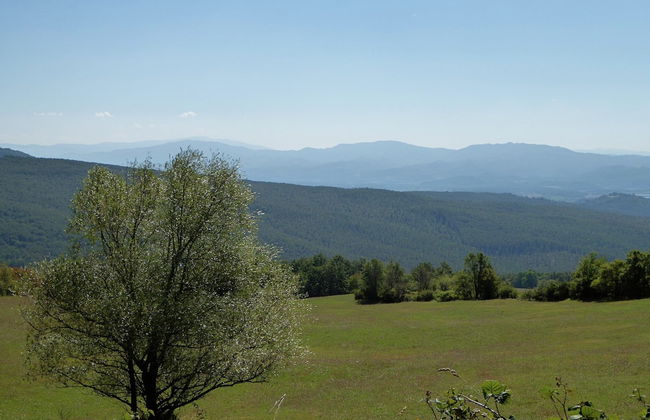 Holiday Home in Montecarelli With Pool - Foto 24