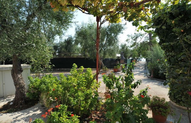 Residence Lido Dei Pini - Photo 38