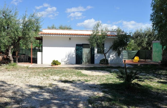 Residence Lido Dei Pini - Photo 34