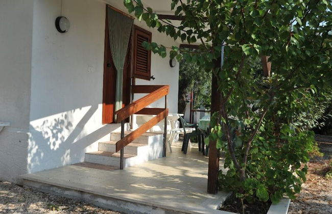 Residence Lido Dei Pini - Photo 37