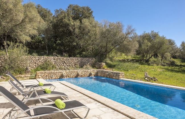 Finca Ses Curtanetes - Foto 21